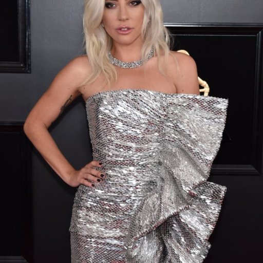 Lady-Gaga-Celine-Dress-2019-Grammys (2)