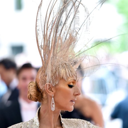 Met Gala. 2019. Celine Dion 4