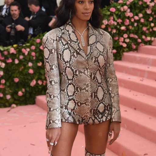 Met Gala. 2019. Solange Knowles