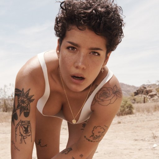 Halsey в эротических фотосессиях. 2019 15