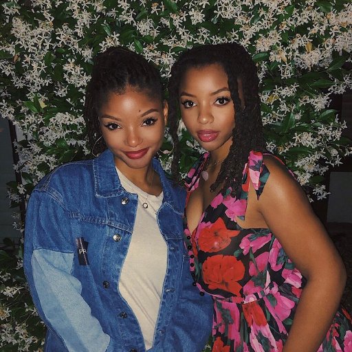 Chloe x Halle. Образы 2019 03