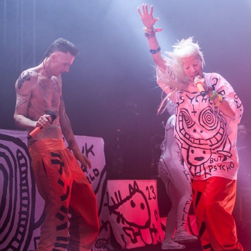 Die Antwoord в культуре ZEF. 2010. 13