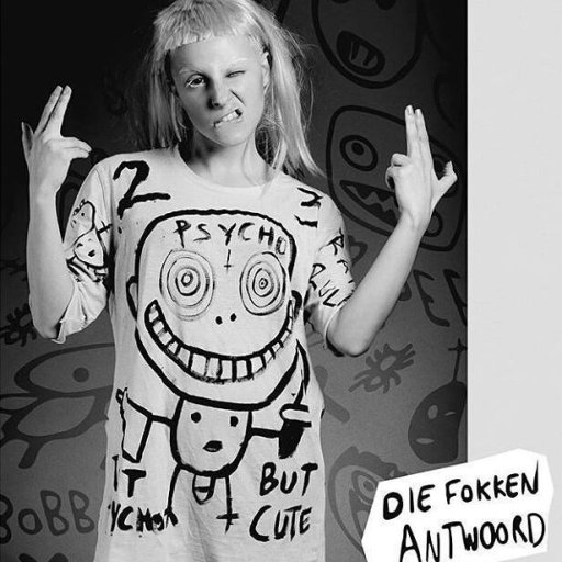 Die Antwoord в культуре ZEF. 2010. 19