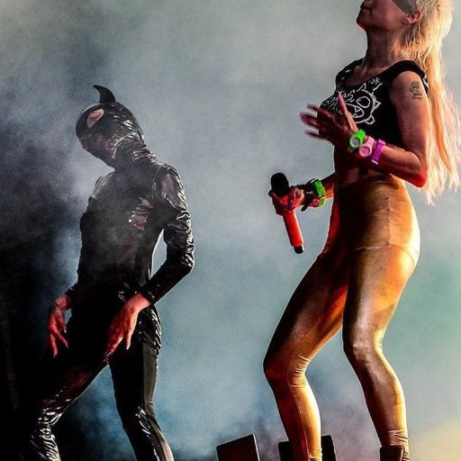 Die Antwoord на концертах. 2016 27