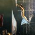 Die Antwoord в туре House Of Zef. 2019. 06