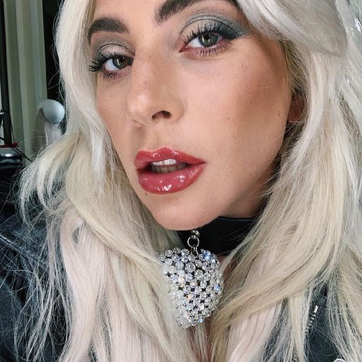 Lady Gaga. Презентация Haus Laboratories. 2019. 23