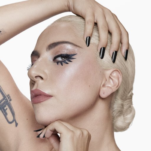 Lady Gaga. Презентация Haus Laboratories. 2019. 27