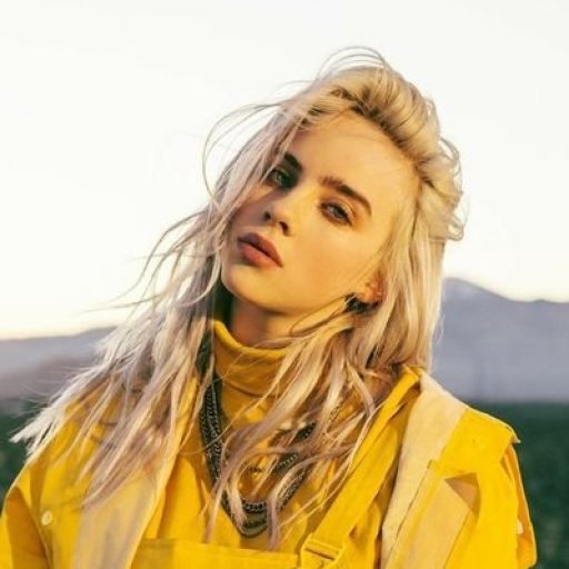 Образы Billie Eilsh. 2018. 01