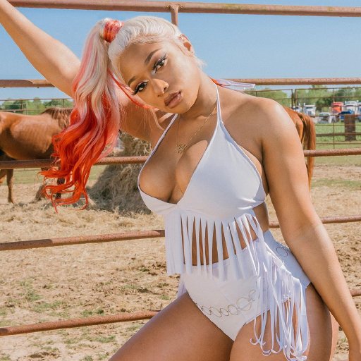 Billboard. Лучшие фото 2019. Megan Thee Stallion