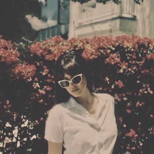 Lana Del Rey. Промо для альбома Honeymoon 2012 11