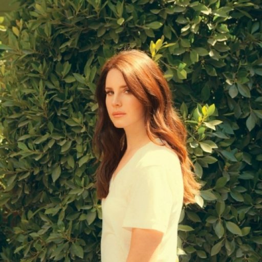 Lana Del Rey. Образы. 2015 20