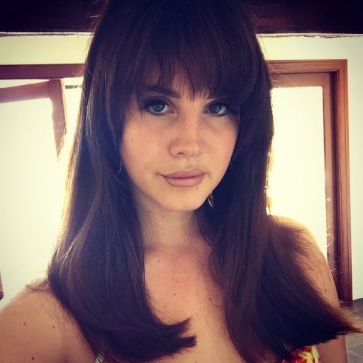 Lana Del Rey. Образы. 2015 29