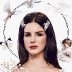 Lana Del Rey. Фан-арт. 2015 02