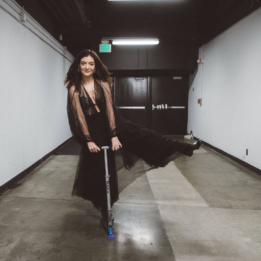 Lorde в туре. 2018. 20