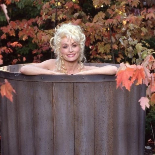 Dolly Parton. Образы. 1970-99. 07