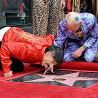 Red Hot Chili Peppers устанавливаю звезду в Голливудк. 2022. 03