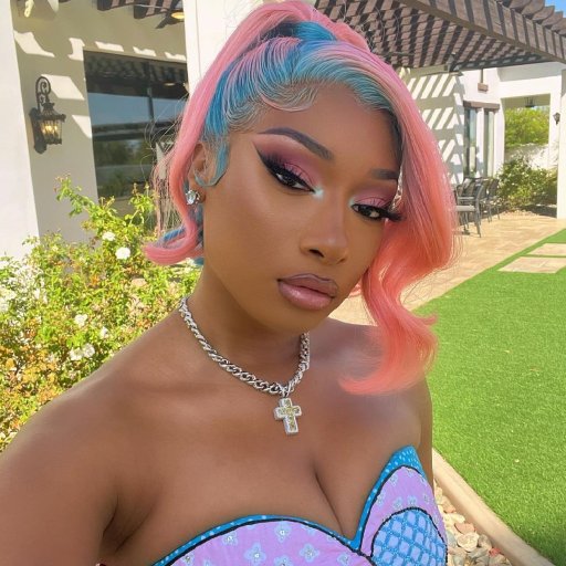 Портреты Megan Thee Stallion. 2022. 19