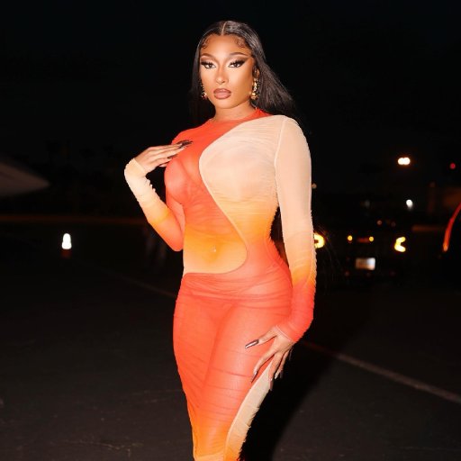 Образы Megan Thee Stallion. 2022. 10