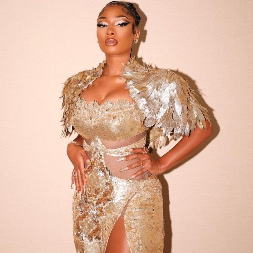 Образы Megan Thee Stallion. 2022. 12