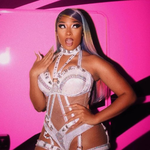 Концертные костюмы Megan Thee Stallion. 2022. 15