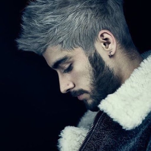 zayn-malik-show-biz.by-2015-06