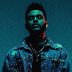 the-weeknd-2016-False-Alarm-6