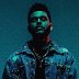 the-weeknd-2016-False-Alarm-6