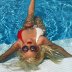 christina-aguilera-2017-swimsuit-06