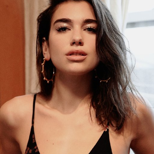 Dua-Lipa-2016-19