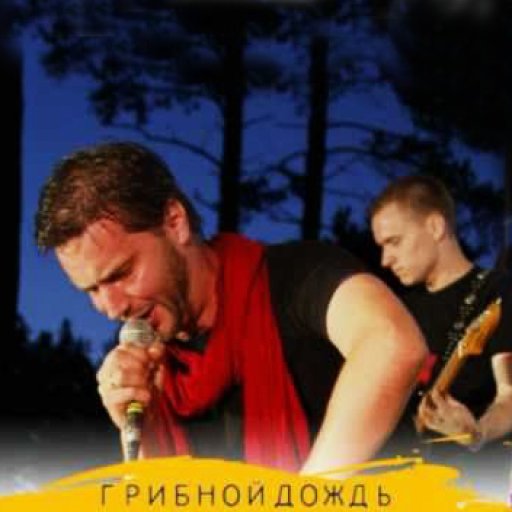 Грибной дождь