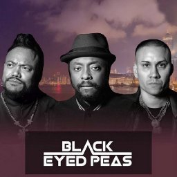 Black Eyed Peas