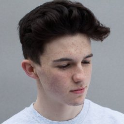 Petit Biscuit