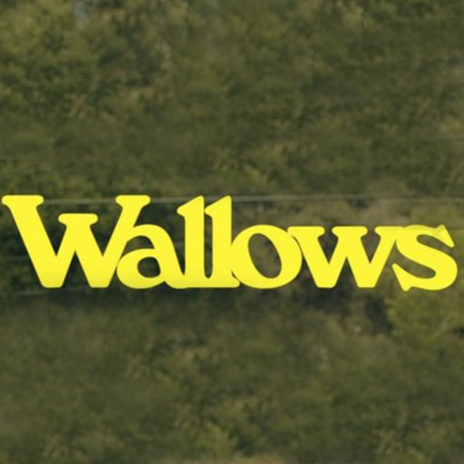 Wallows