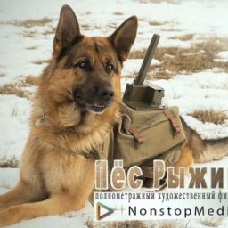 Кинофильм &laquo;Пёс Рыжий&raquo;