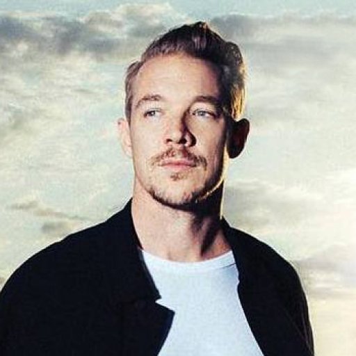 Diplo 