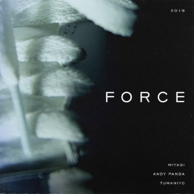 Force (with Andy Panda ft. TumaniYO) 
