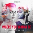 Where You Wanna Be (с Е.Темниковой)