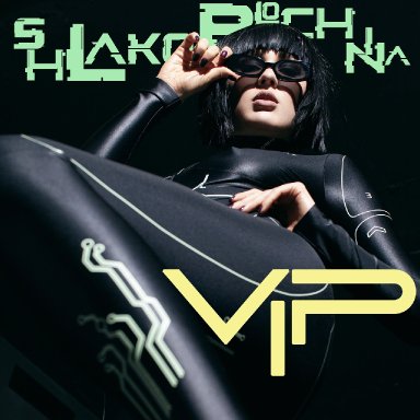 VIP (SHLAKOBLOCHINA )